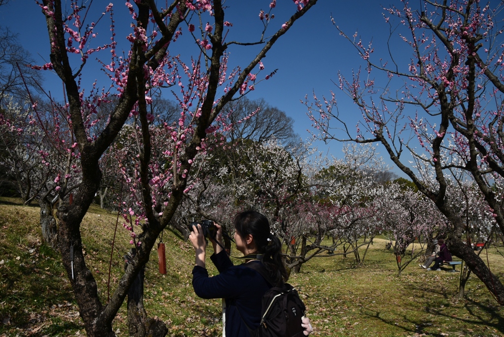 180314b市大植物園41
