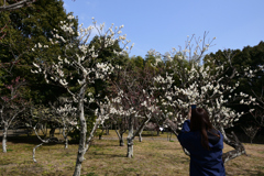 220305a山田池公園33