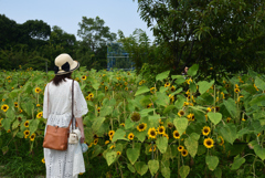 190818長居植物園06