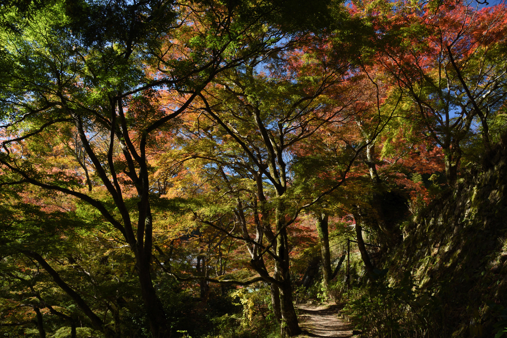 171113a談山神社07+
