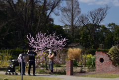 210323b京都植物園38