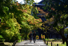 221029f南禅寺13