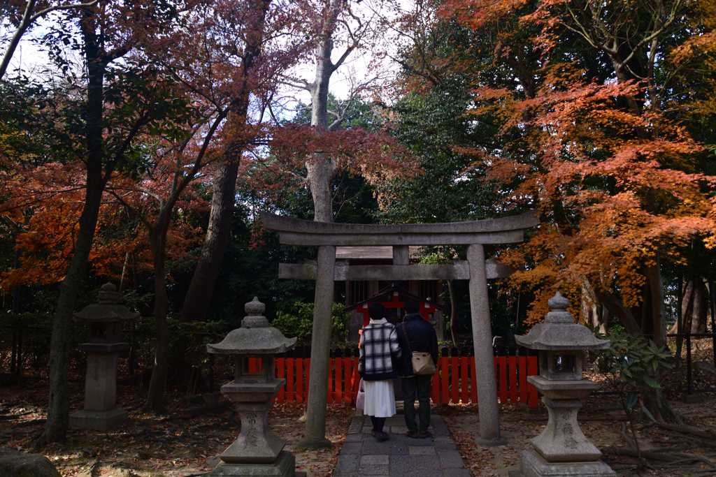 250103a御香宮神社12