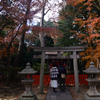 250103a御香宮神社12