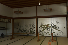 250916妙蓮寺26