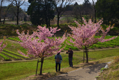 200318馬見丘陵公園36