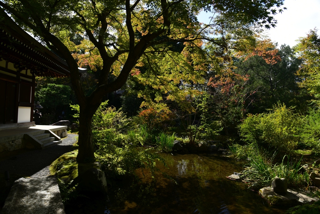 181101a白沙村荘48