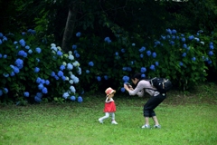 180613馬見丘陵41+