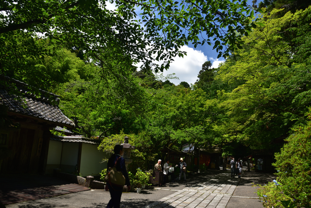 190617a石山寺04