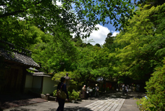 190617a石山寺04