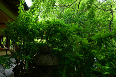 250606妙心寺退蔵院38