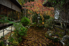 191126b高山寺28