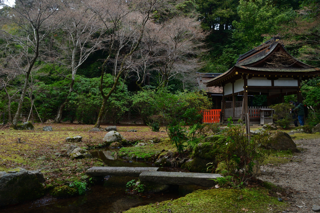 260102上賀茂神社21