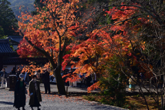 221127a南禅寺24