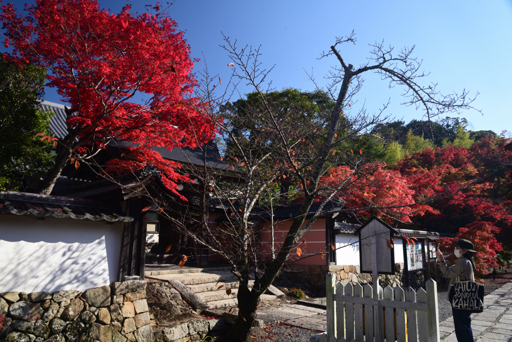 221112b満願寺09
