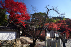 221112b満願寺09