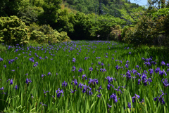 190508a大田神社02