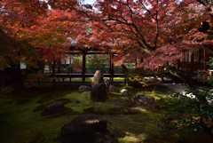 201210c建仁寺47