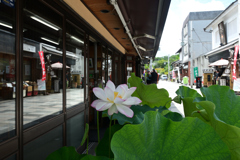 250718宇治市01
