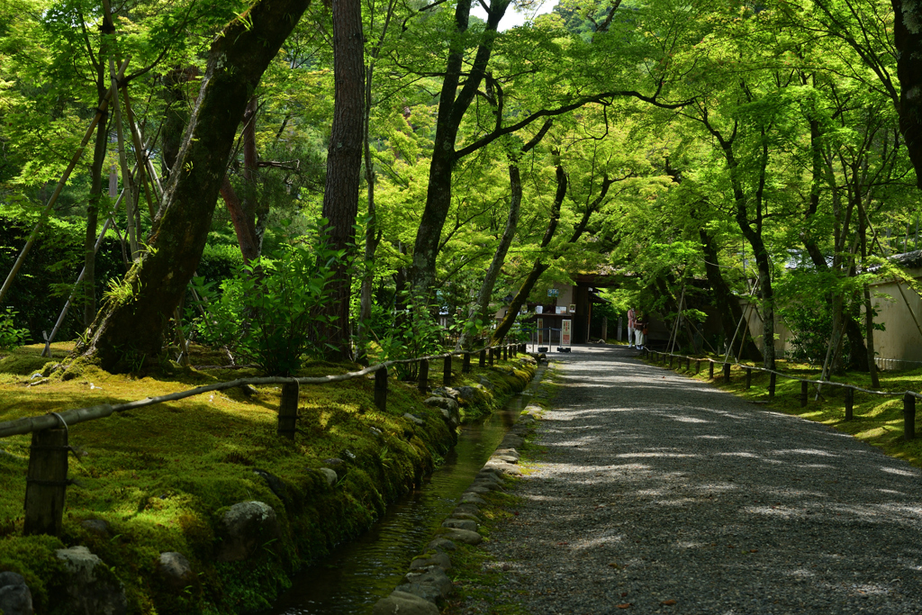 230527b宝厳院62