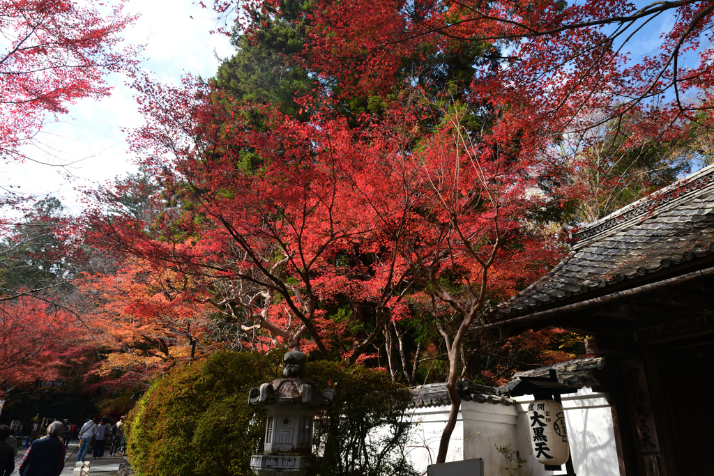 231123a石山寺52