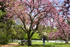 190422b京都御苑27