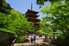 220428長谷寺40