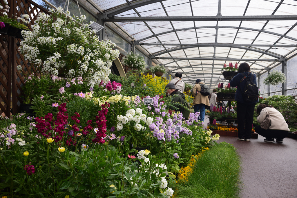 230214京都植物園23