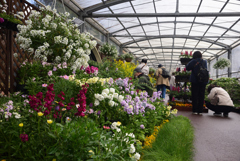 230214京都植物園23