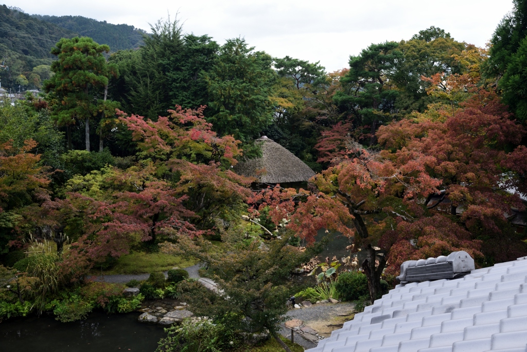 181101a白沙村荘40