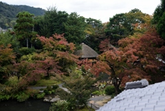 181101a白沙村荘40
