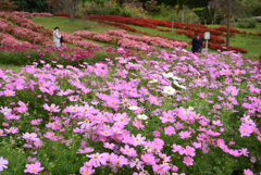 201018馬見丘陵公園13