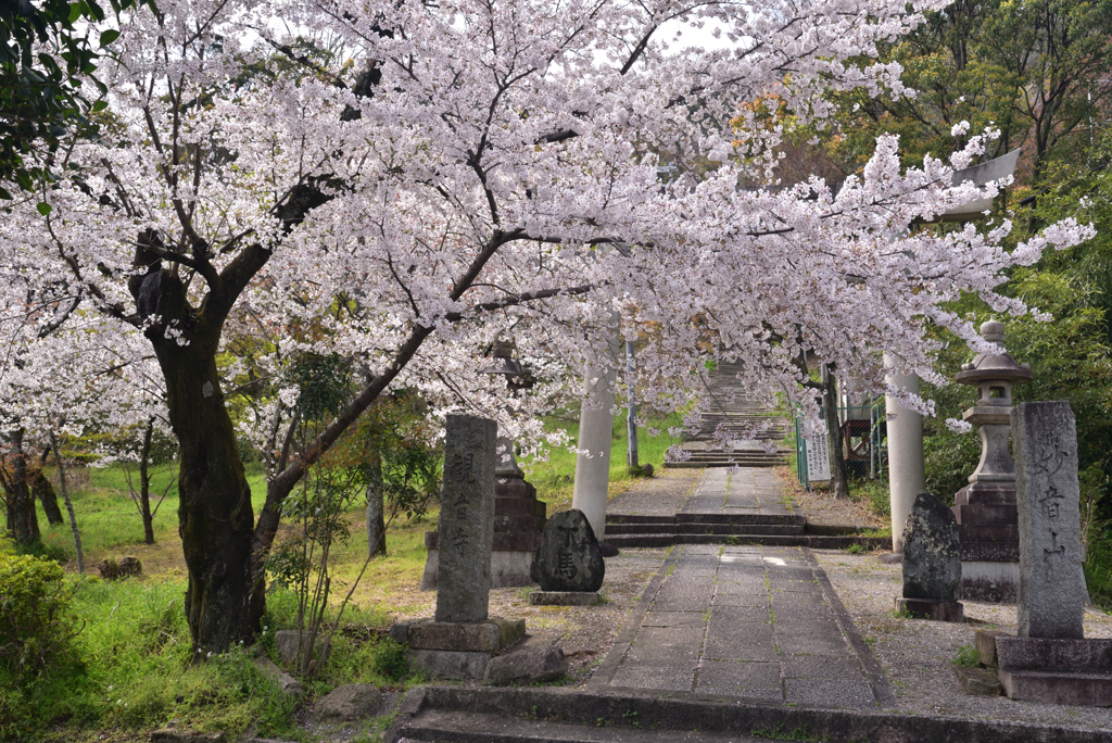 200403d山崎聖天03