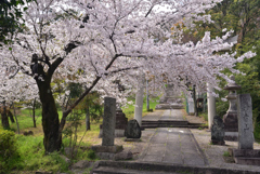 200403d山崎聖天03