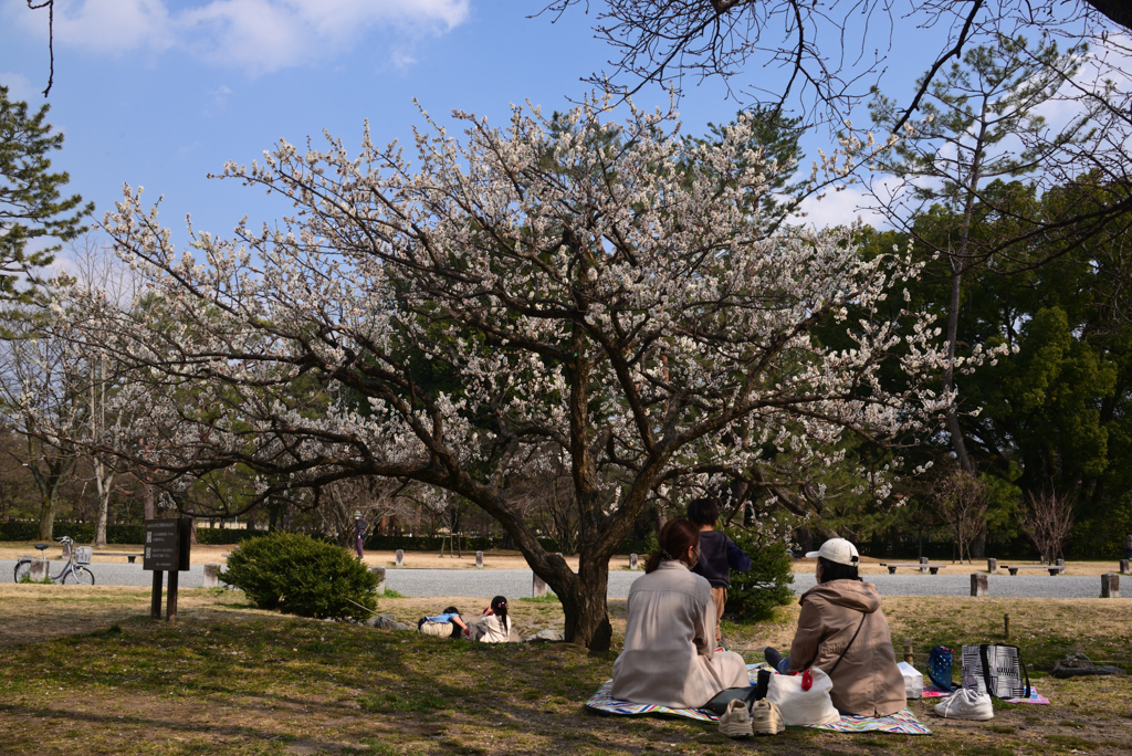 220312b京都御苑11