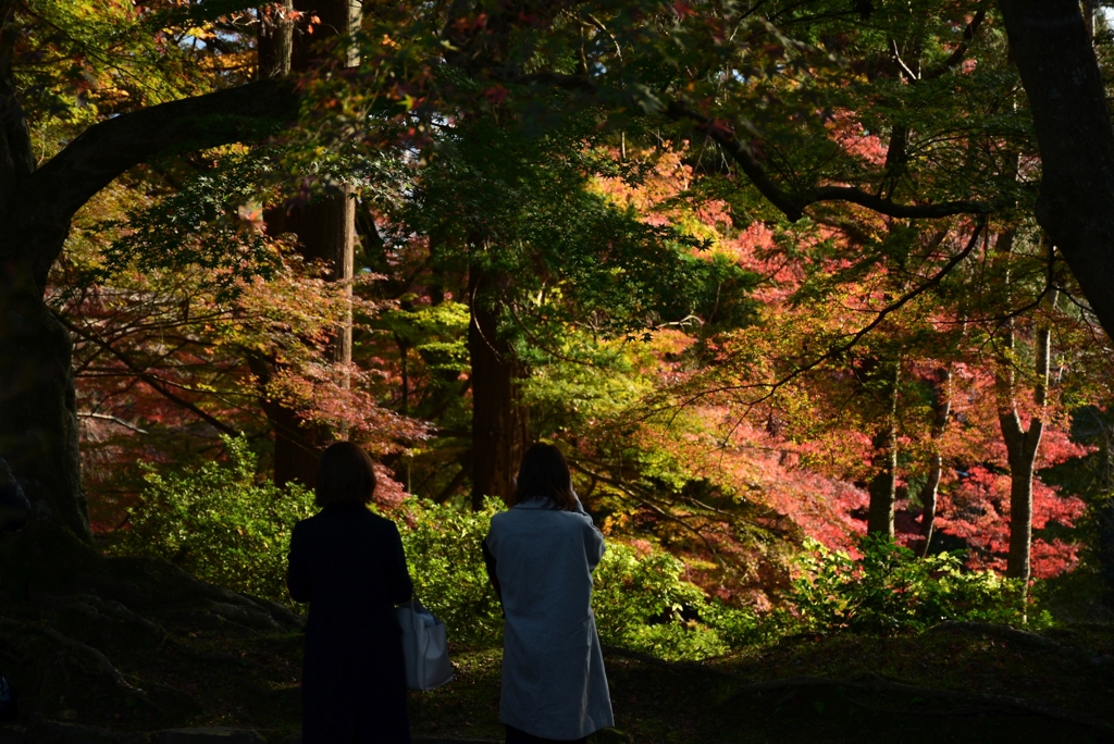 171117毘沙門堂32