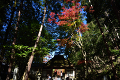 191123b法然院02