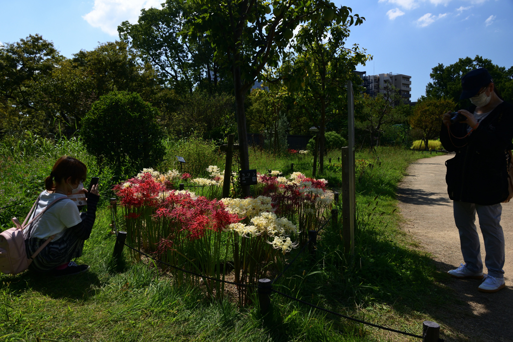210925長居植物園09