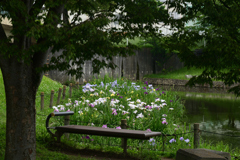 230610a白鷺公園30