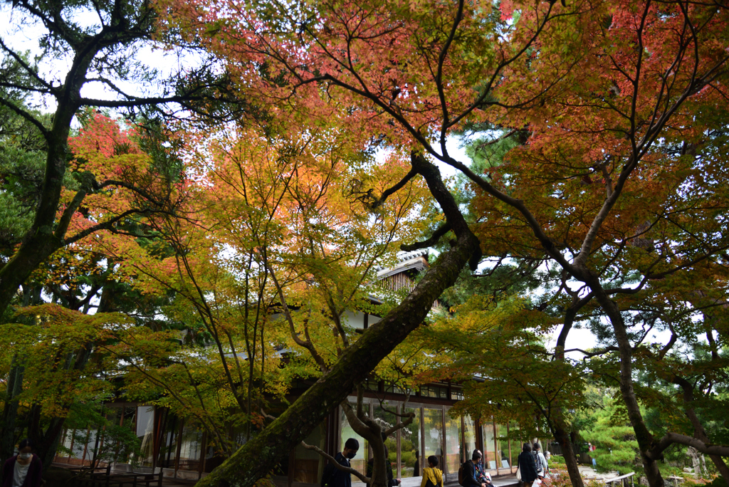 201108吉城園06