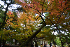 201108吉城園06