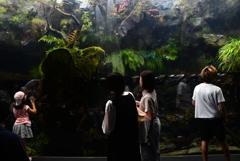 240820京都水族館35