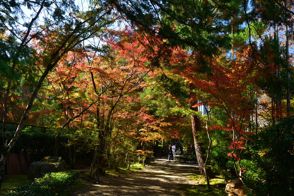251115b妙祐久遠寺03