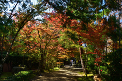 251115b妙祐久遠寺03