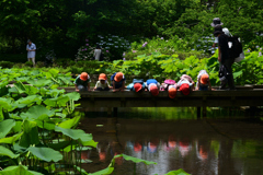 230613京都植物園31