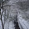 250208a東福寺49