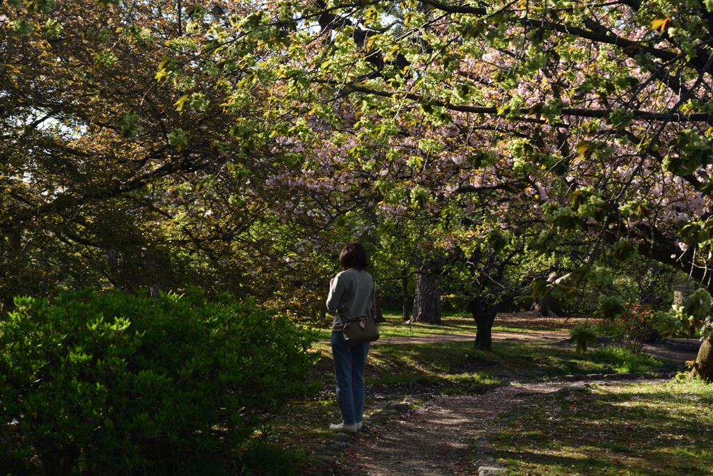 210407e京都御苑33