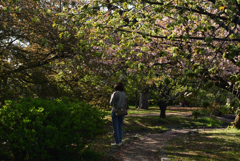 210407e京都御苑33