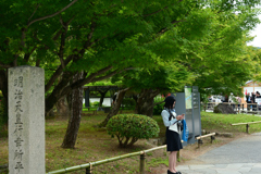250509a平等院03