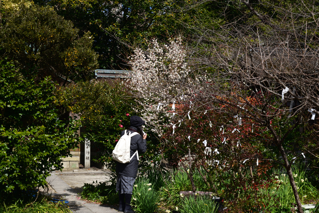 220222c京都御苑08